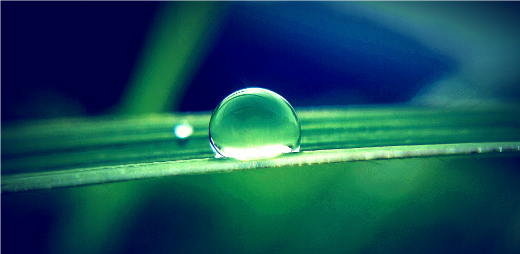 シェルゥームの肌研究