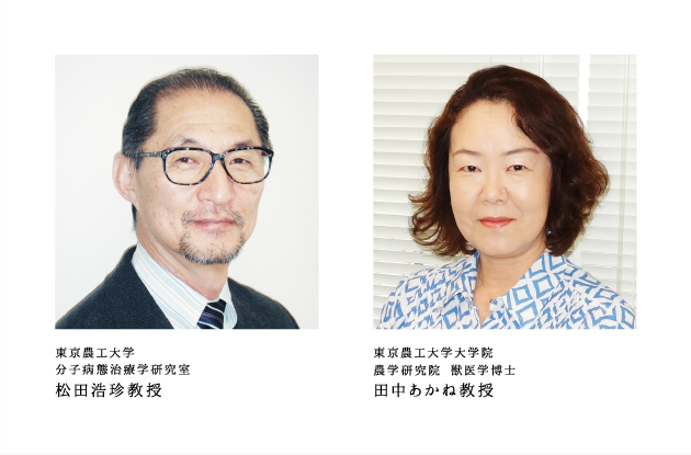 東京農工大学 分子病態治療学研究室 松田浩珍教授 東京農工大学大学院 農学研究院 獣医学博士 田中あかね教授