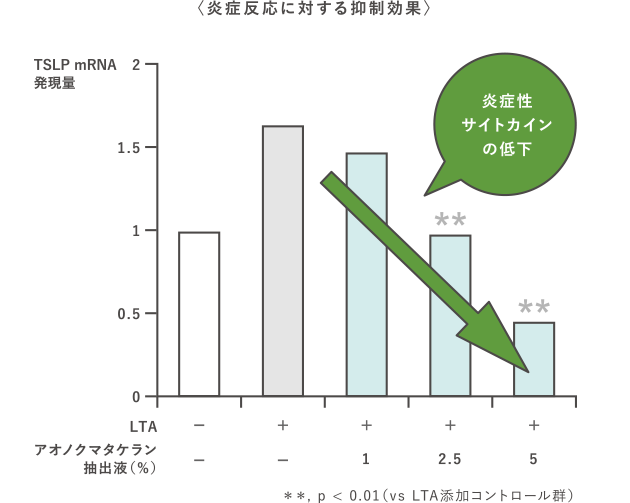 〈炎症反応に対する抑制効果〉