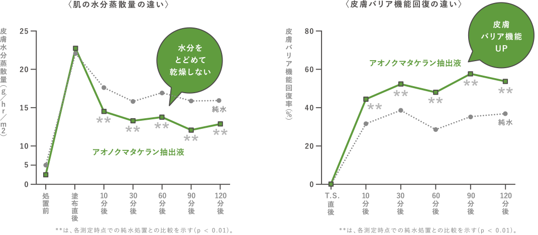 〈肌の水分蒸散量の違い〉
