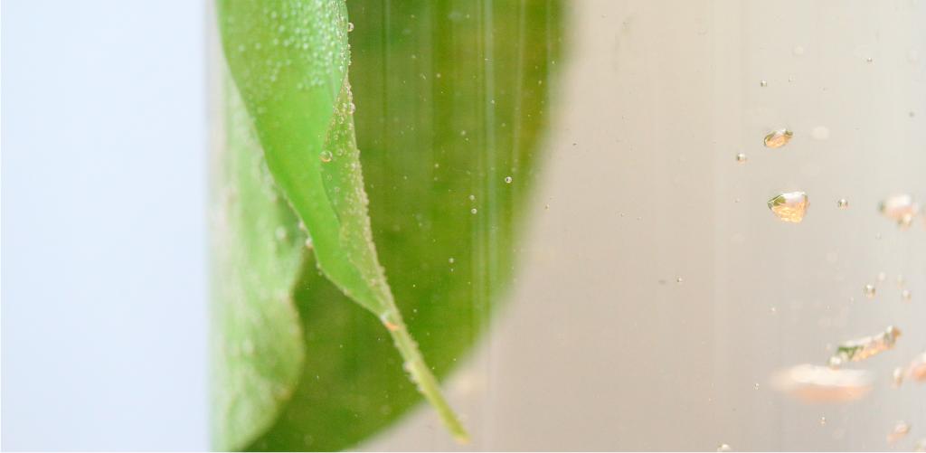 シェルゥームの肌研究