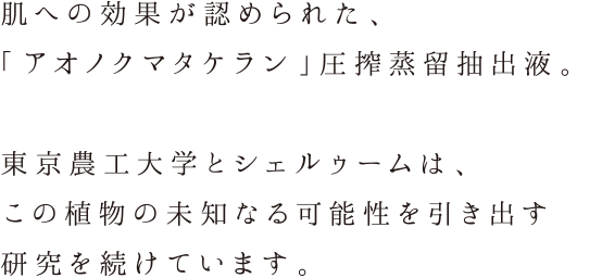 肌への効果が認められた、「アオノクマタケラン」圧搾蒸留抽出液。東京農工大学とシェルゥームは、この植物の未知なる可能性を引き出す研究を続けています。
